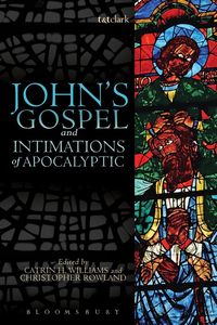 Produktbild: John's Gospel and Intimations of Apocalyptic