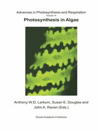 Produktbild: Photosynthesis in Algae
