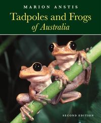 Produktbild: Anstis, M: Tadpoles and Frogs of Australia