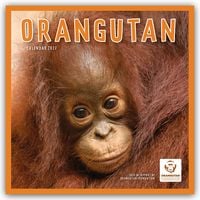 Produktbild: Orangutan &ndash; Orang-Utan 2027 &ndash; Wand-Kalender