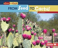 Produktbild: From Seed to Cactus