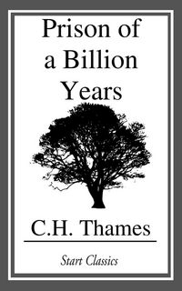 Produktbild: Prison of a Billion Years