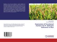 Produktbild: Expression of functional markers for P- deficient tolerance in Rice