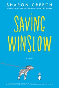Produktbild: Saving Winslow