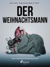 Bild vom Artikel Der Weihnachtsmann vom Autor Artur Brausewetter