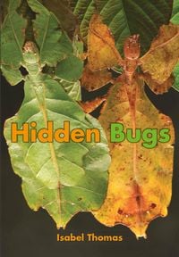 Produktbild: Hidden Bugs