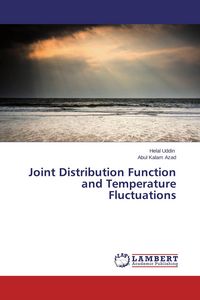 Produktbild: Joint Distribution Function and Temperature Fluctuations