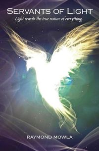 Produktbild: Servants of Light: Light Reveals the True Nature of Everything.