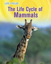 Produktbild: Life Cycle Of Mammals