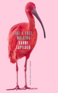 Produktbild: Like a Tree, Walking