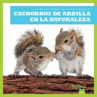 Produktbild: Cachorros de Ardilla En La Naturaleza (Squirrel Kits in the Wild)
