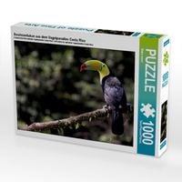 Produktbild: Swainsontukan aus dem Vogelparadies Costa Rica (Puzzle)