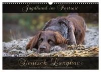 Produktbild: Jagdhund im Portrait - Deutsch Langhaar (Wandkalender 2026 DIN A3 quer), CALVENDO Monatskalender