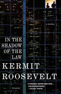 Produktbild: In the Shadow of the Law