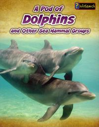 Produktbild: Pod Of Dolphins