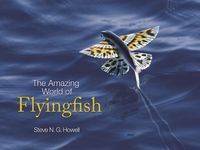 Produktbild: The Amazing World of Flyingfish