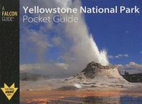 Produktbild: Yellowstone National Park Pocket Guide