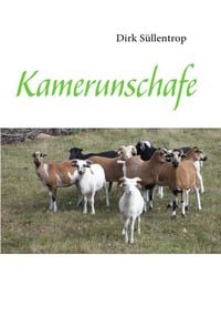 Produktbild: Kamerunschafe