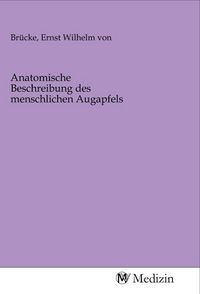 Produktbild: Anatomische Beschreibung des menschlichen Augapfels