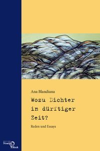 Produktbild: Wozu Dichter in d&uuml;rftiger Zeit?