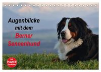 Produktbild: Augenblicke mit dem Berner Sennenhund (Tischkalender 2026 DIN A5 quer), CALVENDO Monatskalender