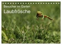 Produktbild: Besucher im Garten - Laubfr&ouml;sche (Tischkalender 2027 DIN A5 quer), CALVENDO Monatskalender