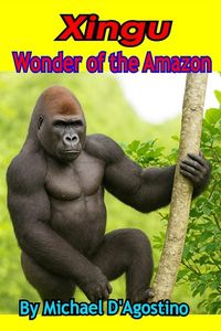 Produktbild: Xingu Wonder Of The Amazon