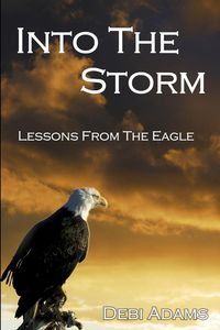 Produktbild: Into the Storm