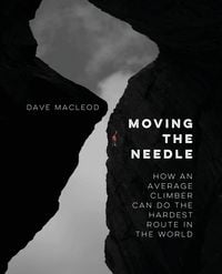Produktbild: Moving the Needle