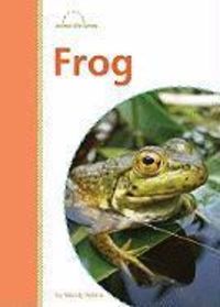 Produktbild: Frog