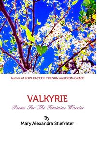 Bild vom Artikel Valkyrie vom Autor Mary Alexandra Stiefvater