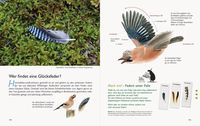 Wawra's Naturbuch – Unserer Natur auf der Spur, Bd. 1: Säugetiere, Vögel, Reptilien, Amphibien