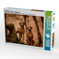 Produktbild: CALVENDO Puzzle L&ouml;wentanz - Rhodesian Ridgeback 1000 Teile Lege-Gr&ouml;&szlig;e 64 x 48 cm Foto-Puzzle Bild von Sabrina Mischnik