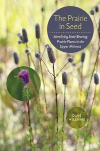 Produktbild: Prairie in Seed
