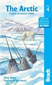 Produktbild: Arctic