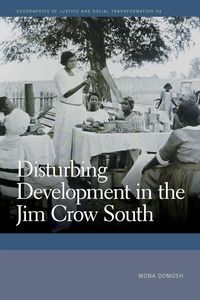 Produktbild: Disturbing Development in the Jim Crow South
