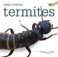 Produktbild: Termites