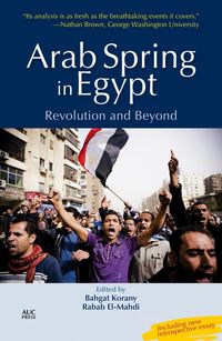 Produktbild: Arab Spring in Egypt