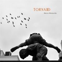 Bild vom Artikel Tornado vom Autor Marco Mezquida