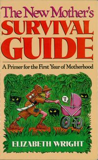 Produktbild: The New Mother's Survival Guide
