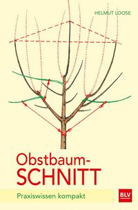 Produktbild: Obstbaumschnitt