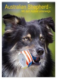Produktbild: Australian Shepherd &ndash; Mit dem Aussie unterwegs (Wandkalender 2026 DIN A2 hoch), CALVENDO Monatskalender