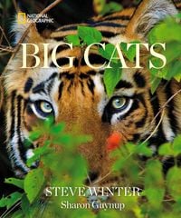 Produktbild: Big Cats