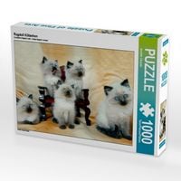Produktbild: CALVENDO Puzzle Ragdoll K&auml;tzchen | 1000 Teile Lege-Gr&ouml;&szlig;e 64x48cm Foto-Puzzle f&uuml;r gl&uuml;ckliche Stunden