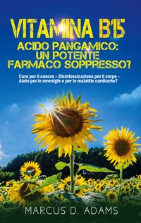 Produktbild: Vitamina B15 - Acido Pangamico: un potente farmaco soppresso?