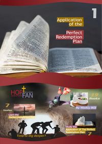Produktbild: Application of the Perfect Redemption Plan 1