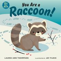 Produktbild: You Are a Raccoon!