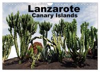 Produktbild: Lanzarote - Canary Islands (Wall Calendar 2026 DIN A4 landscape), CALVENDO 12 Month Wall Calendar