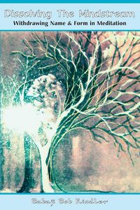 Produktbild: Dissolving the Mindstream