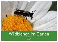 Produktbild: Wildbienen im Garten (Wandkalender 2027 DIN A2 quer), CALVENDO Monatskalender